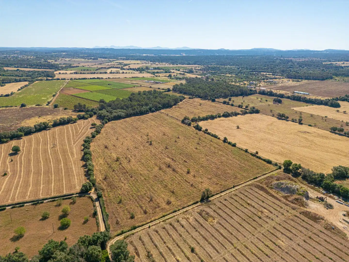 Rural land for sale in Sencelles, imagen 11