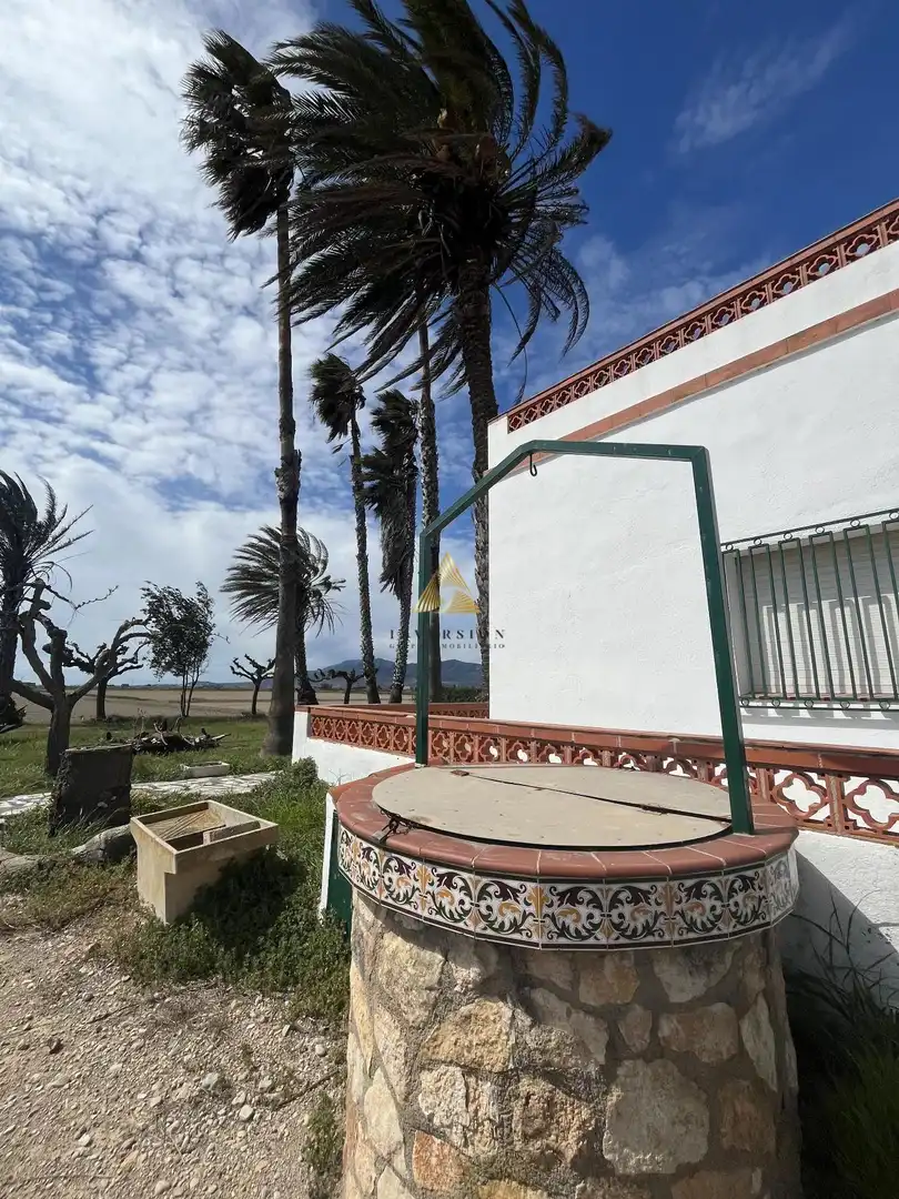 Detached house for sale in Eucaliptus- Poble Nou del Delta, imagen 36