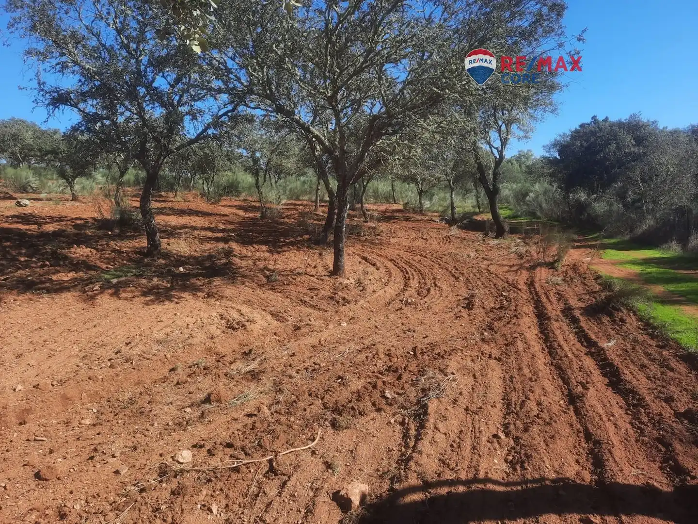 Terreni e lotti in vendita a Alburquerque, imagen 46