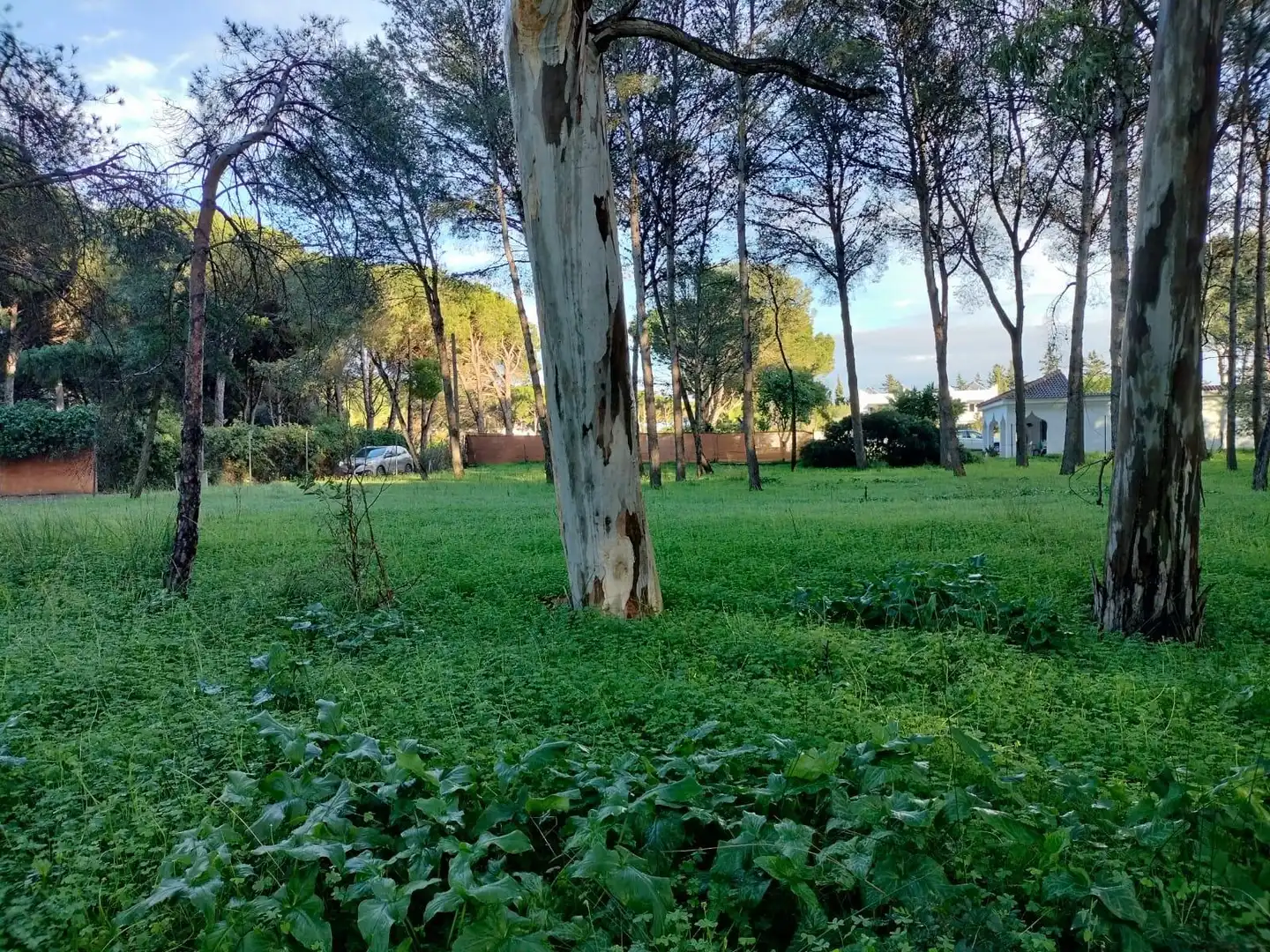 Terreno residencial en venta en Pelagatos - Pago del Humo, imagen 15