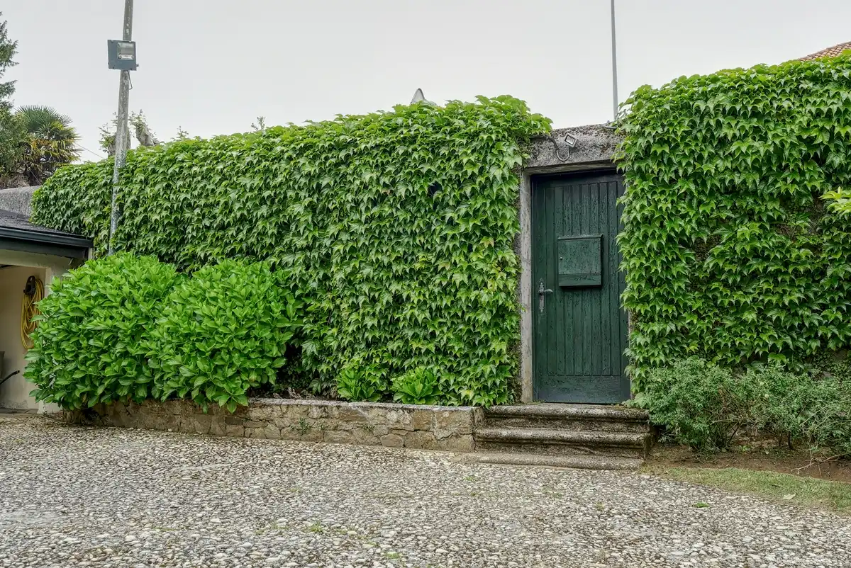 Vista exterior de Casa o xalet en venda en Sada (A Coruña) amb Calefacció, Jardí privat i Parquet