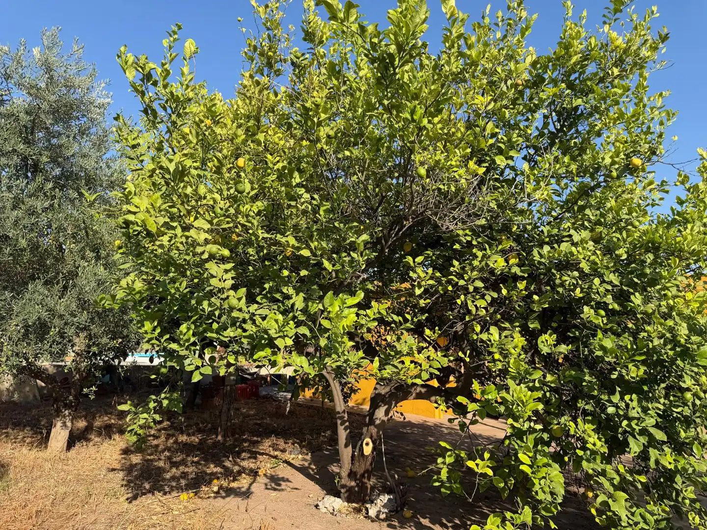 Villa avec piscine à vendre à Onda, imagen 17