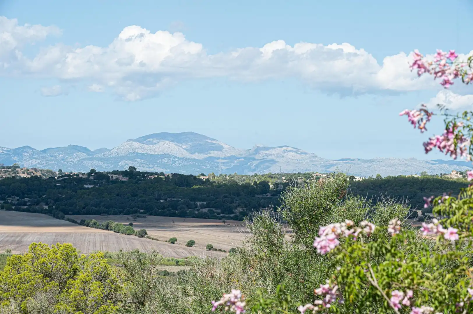 Casa rustica con terrazza in vendita a Sineu, imagen 65