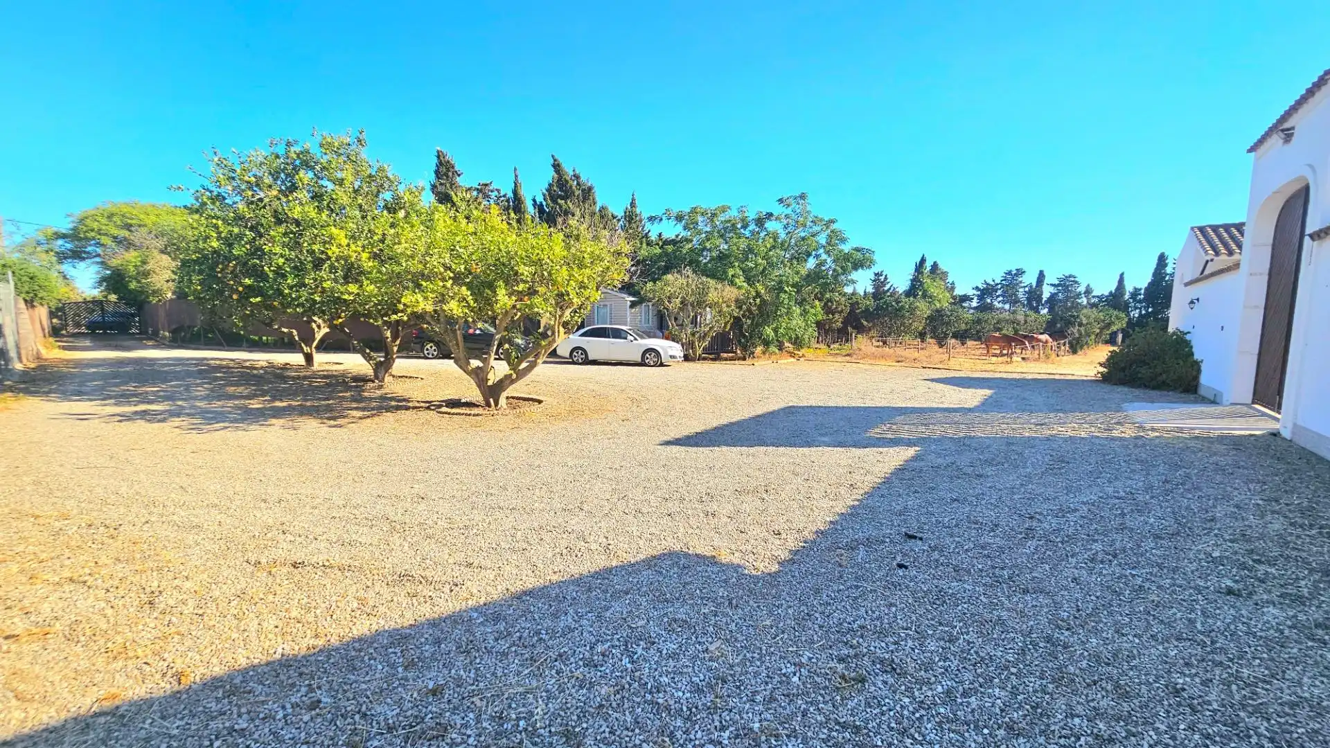 Casa rústica en venda a Las Tres Piedras - Costa Ballena, imagen 19