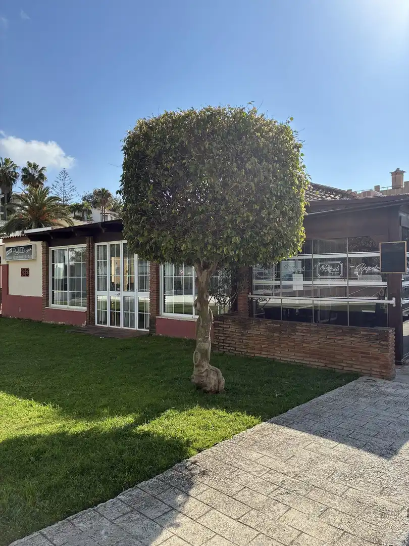 Vista exterior de Casa o chalet en venta en Mijas