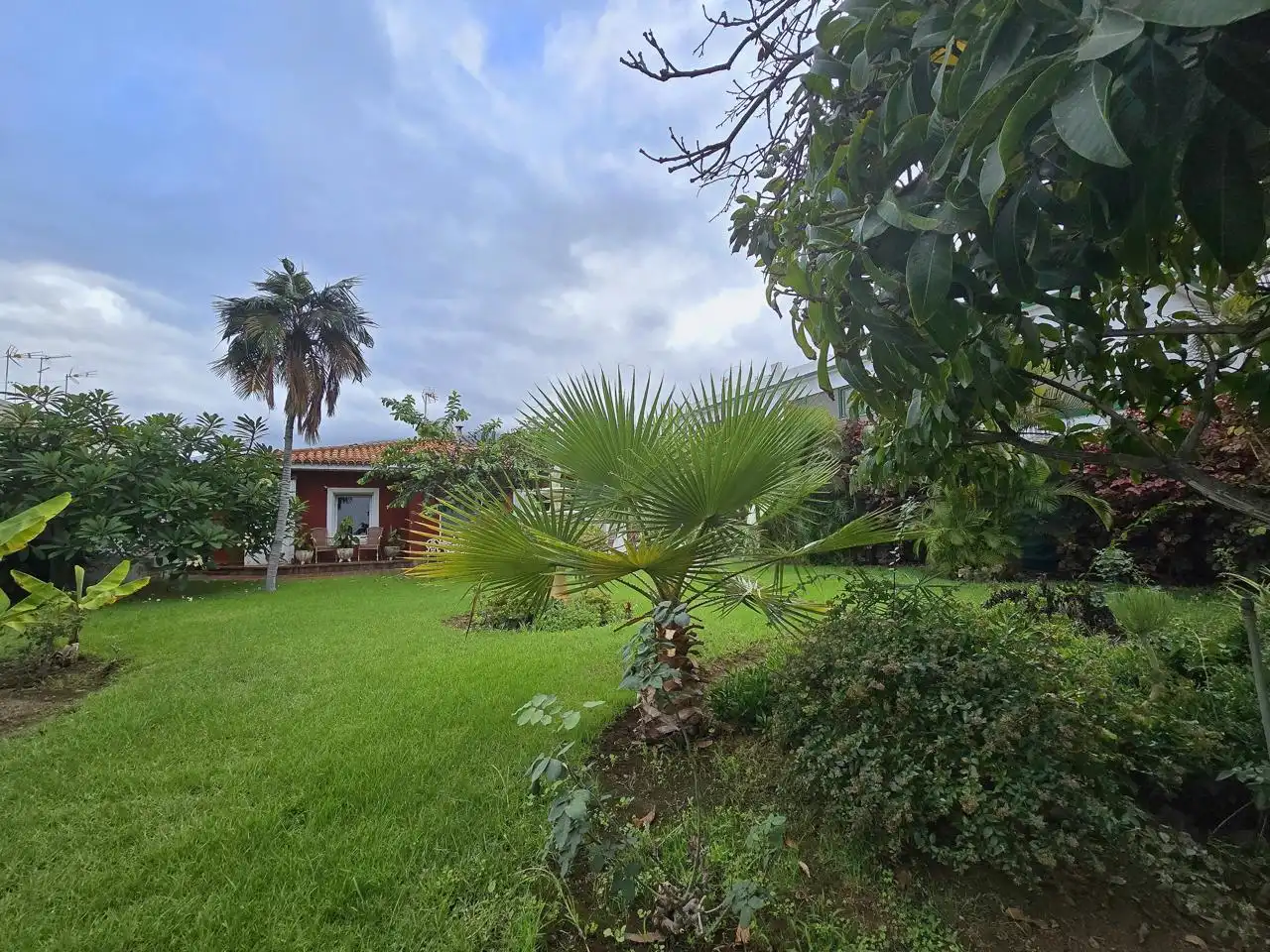 Jardí de Casa o xalet en venda en Puerto de la Cruz amb Jardí privat i Terrassa