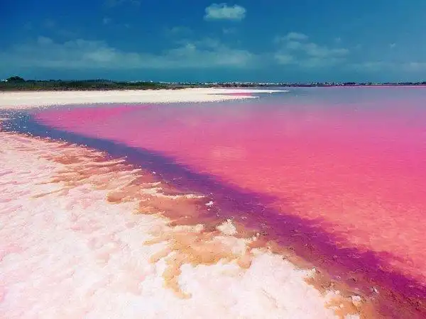Apartament en venda a Calle ARQUITECTO LARRAMENDI 16, imagen 33