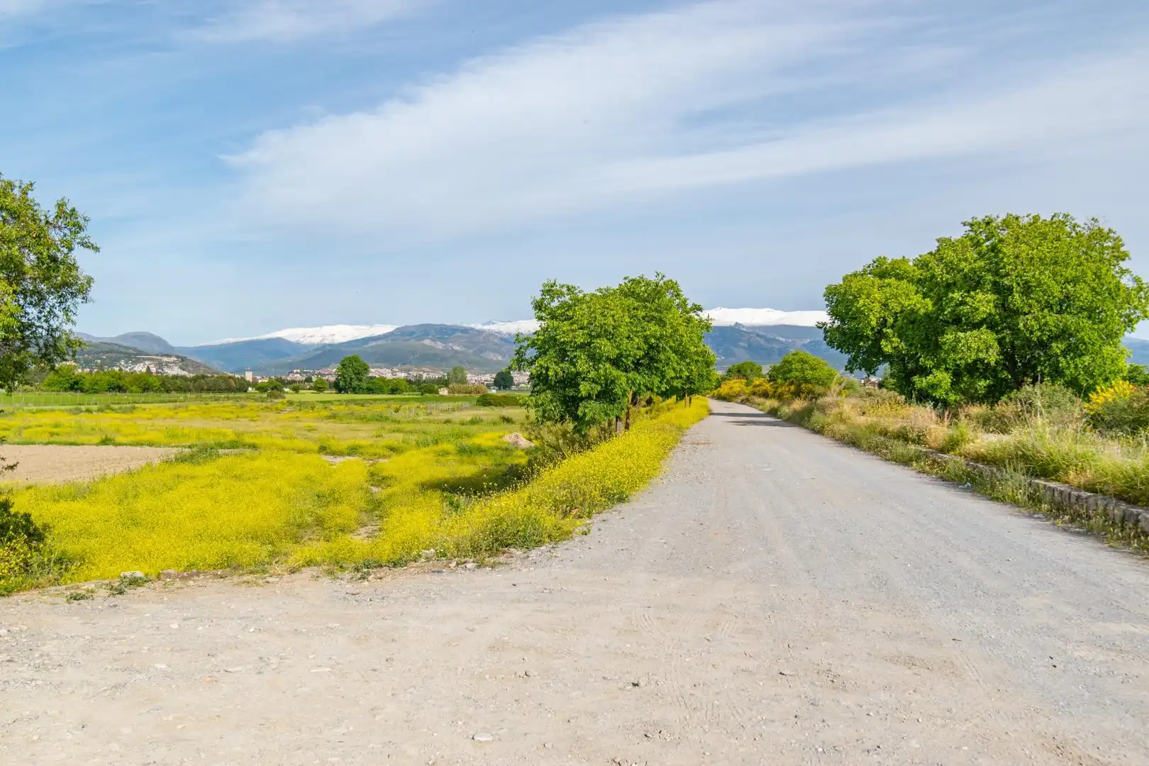 Lands and plots for sale in Polígono 9 Parcela 307 MARACHAT. GRANADA (GRANADA 9, imagen 17