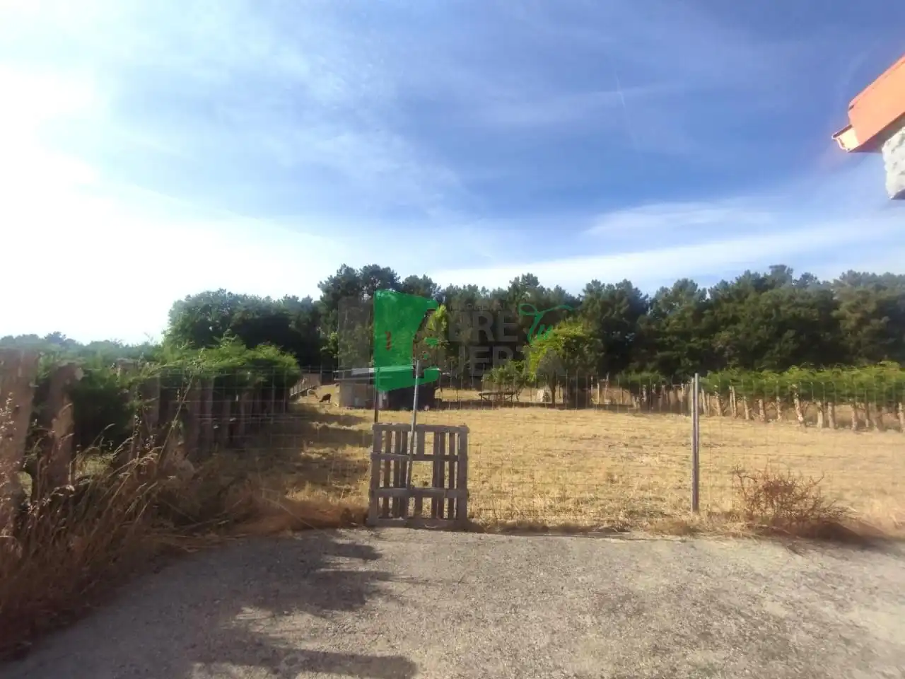 Xalet amb jardí en venda a Coles, imagen 31