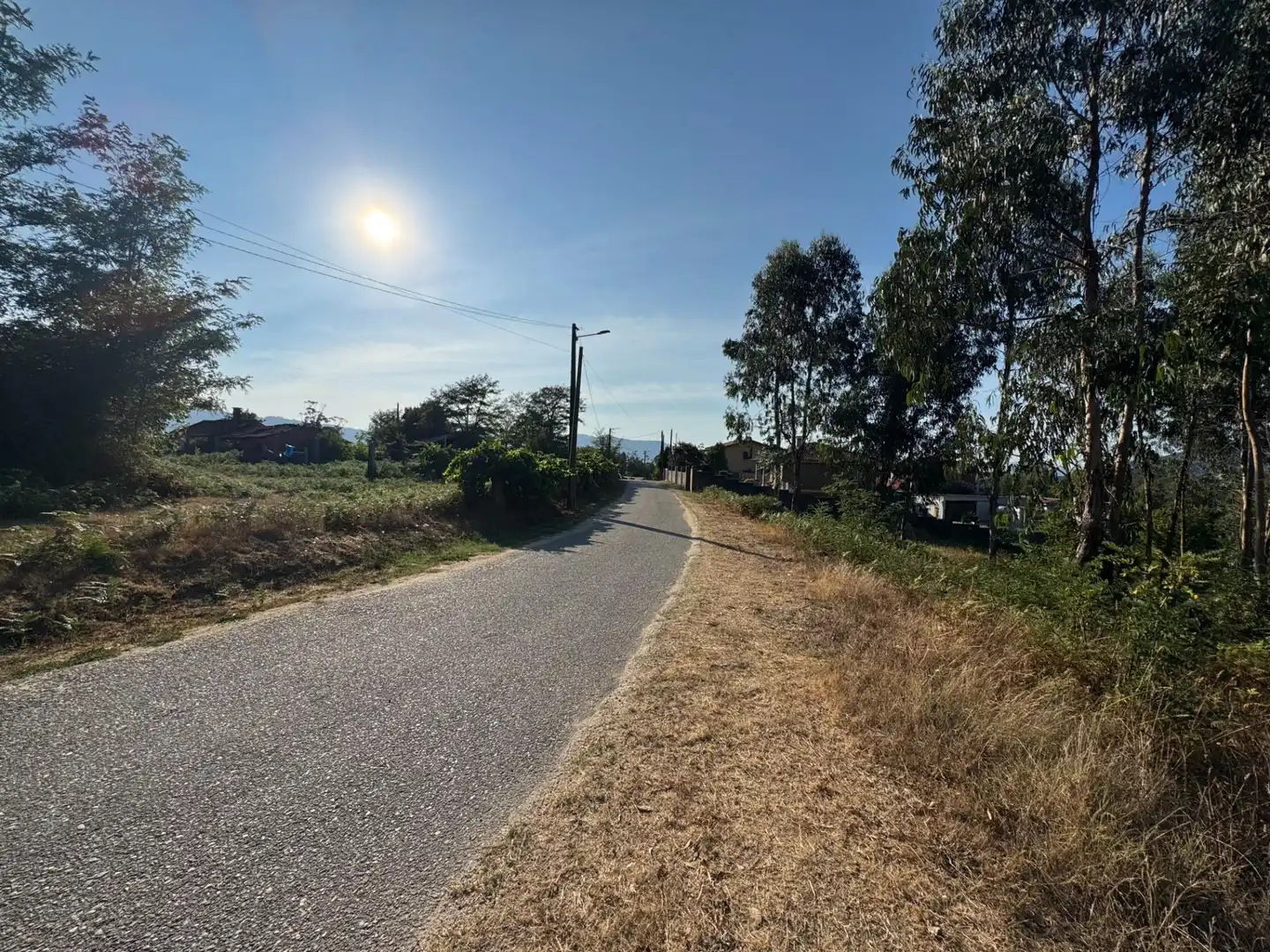 Lands and plots for sale in Lugar EIDO VELLO-BUDIÑO, imagen 8
