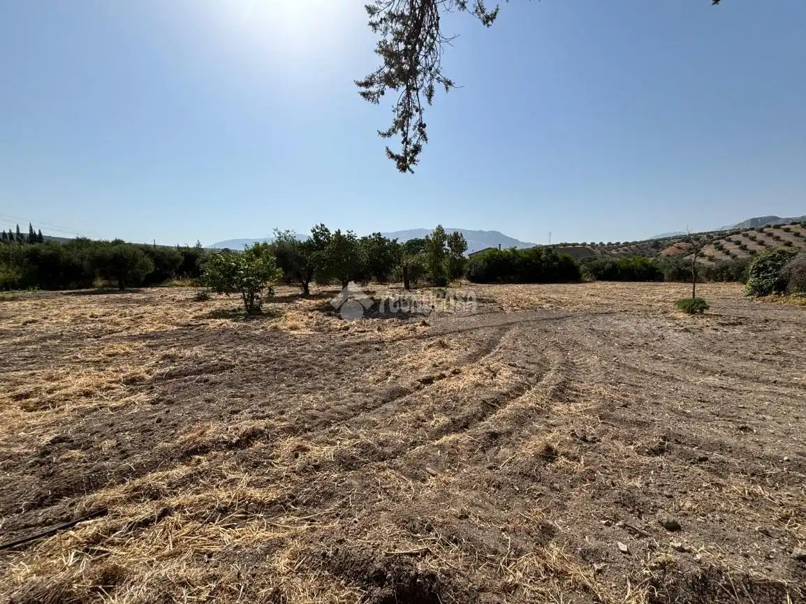 House with pool for sale in La Guardia de Jaén, imagen 36