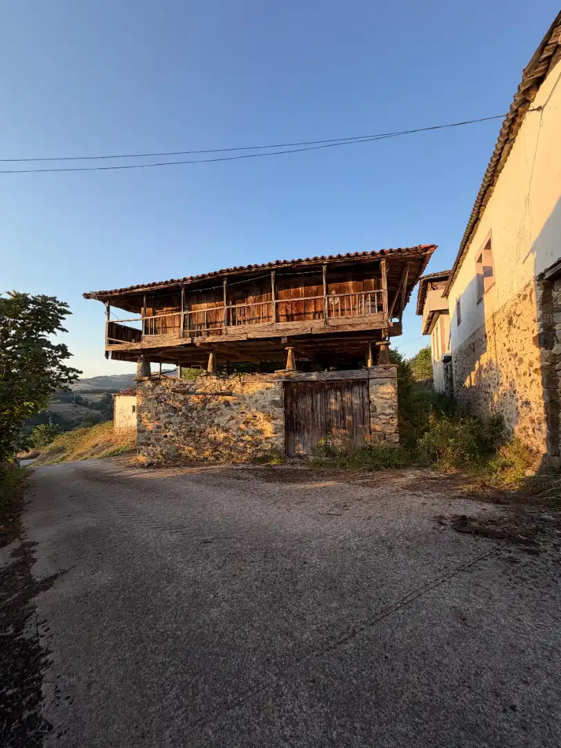 Rural land for sale in Tineo, imagen 3