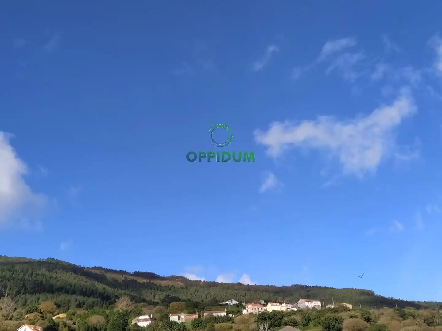 Chalet con jardín en venta en PEREZ LUGIN, imagen 47