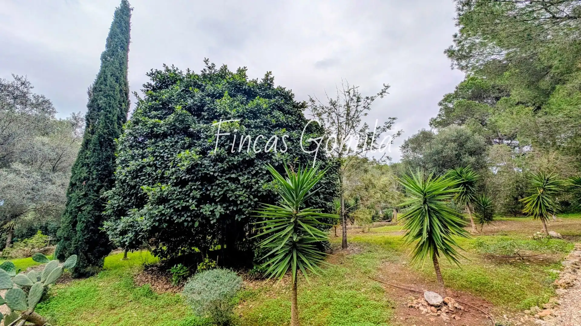 Casa amb piscina en venda a Sant Lluís - S'Ullestrar - Torret, imagen 52