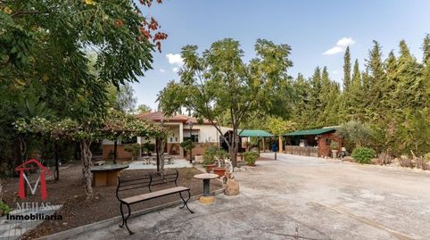 Foto 3 de Finca rústica en venta en Centro, Antequera