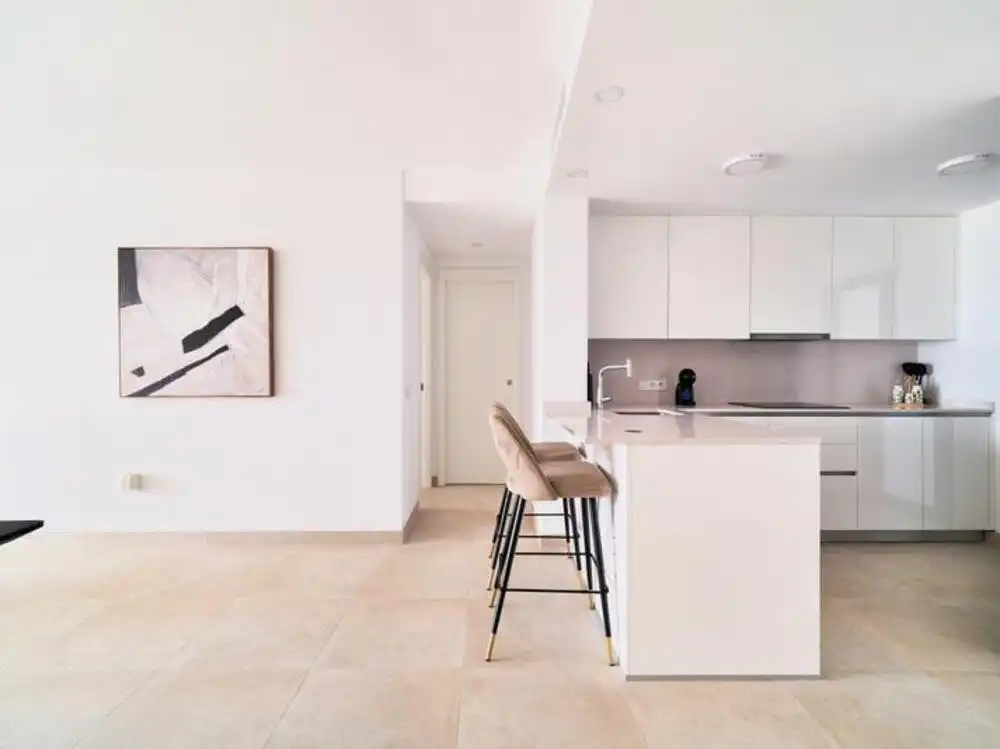 Penthouse with terrace for sale in El Higuerón, imagen 7