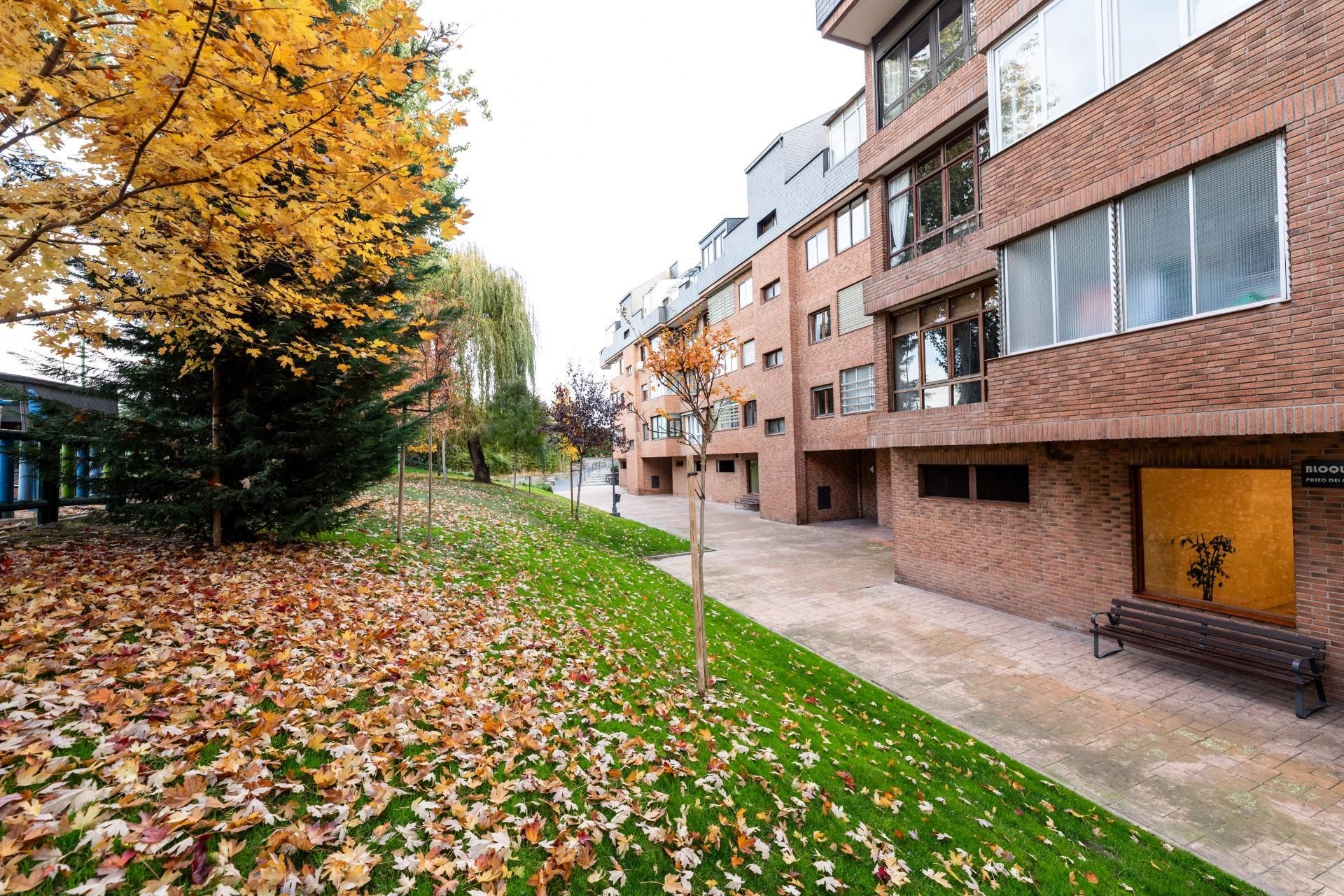 Vista exterior de Pis en venda en Las Rozas de Madrid amb Calefacció i Jardí privat