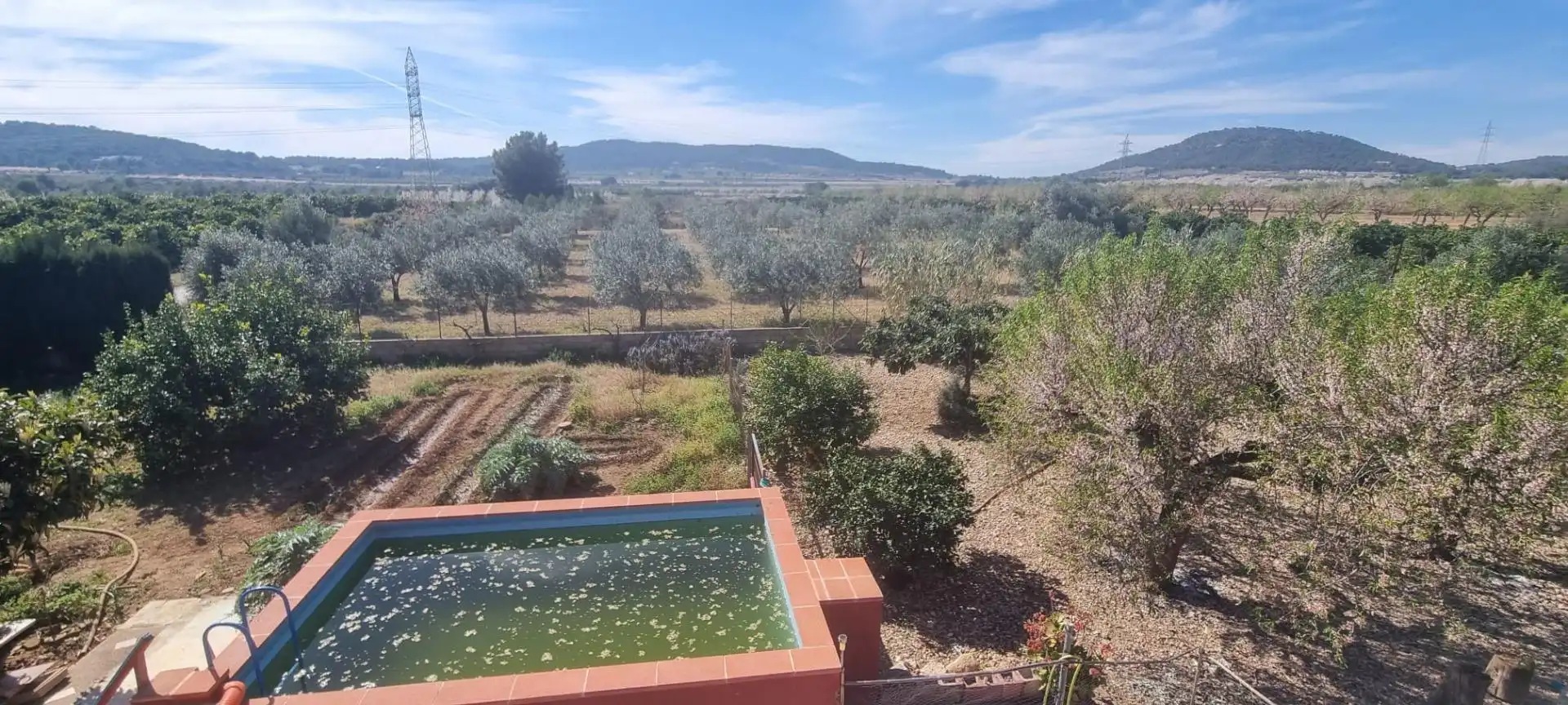 Detached house with pool for sale in Casinos, imagen 13