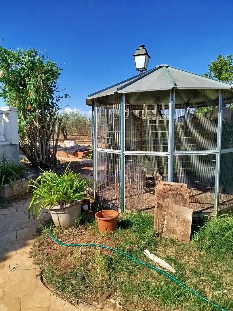Jardí de Casa o xalet en venda en Benicarló amb Aire condicionat, Calefacció i Jardí privat