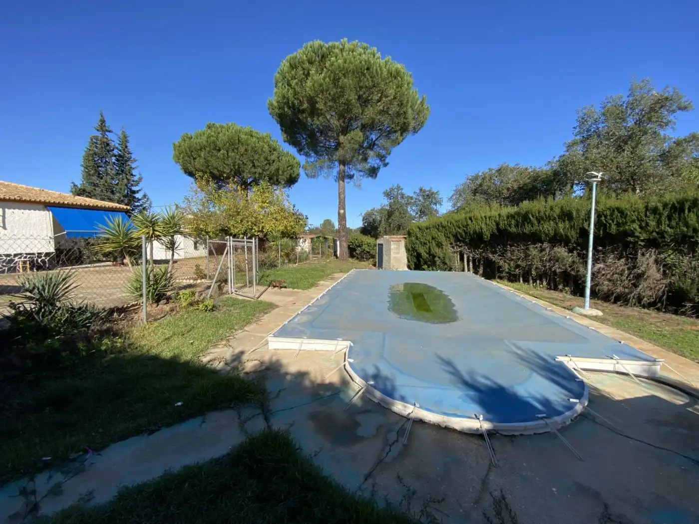 Piscina de Casa o chalet en venta en Valverde del Camino con Calefacción, Piscina y Amueblado