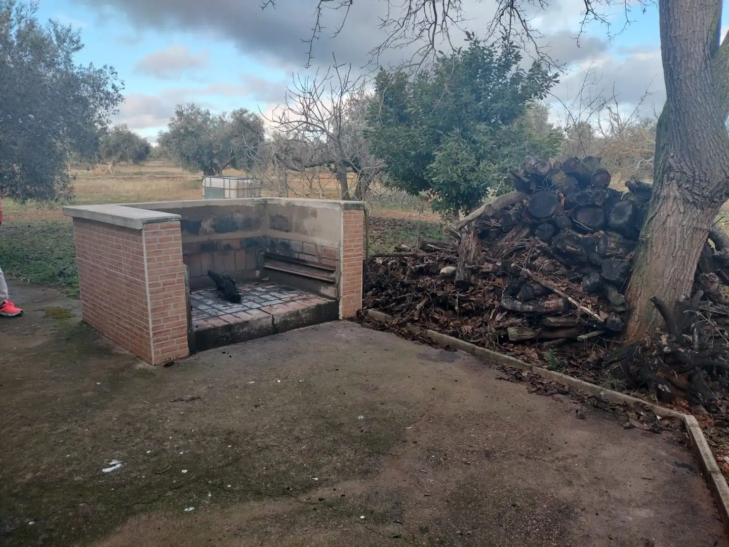 Finca rústica en venta en Argamasilla de Calatrava