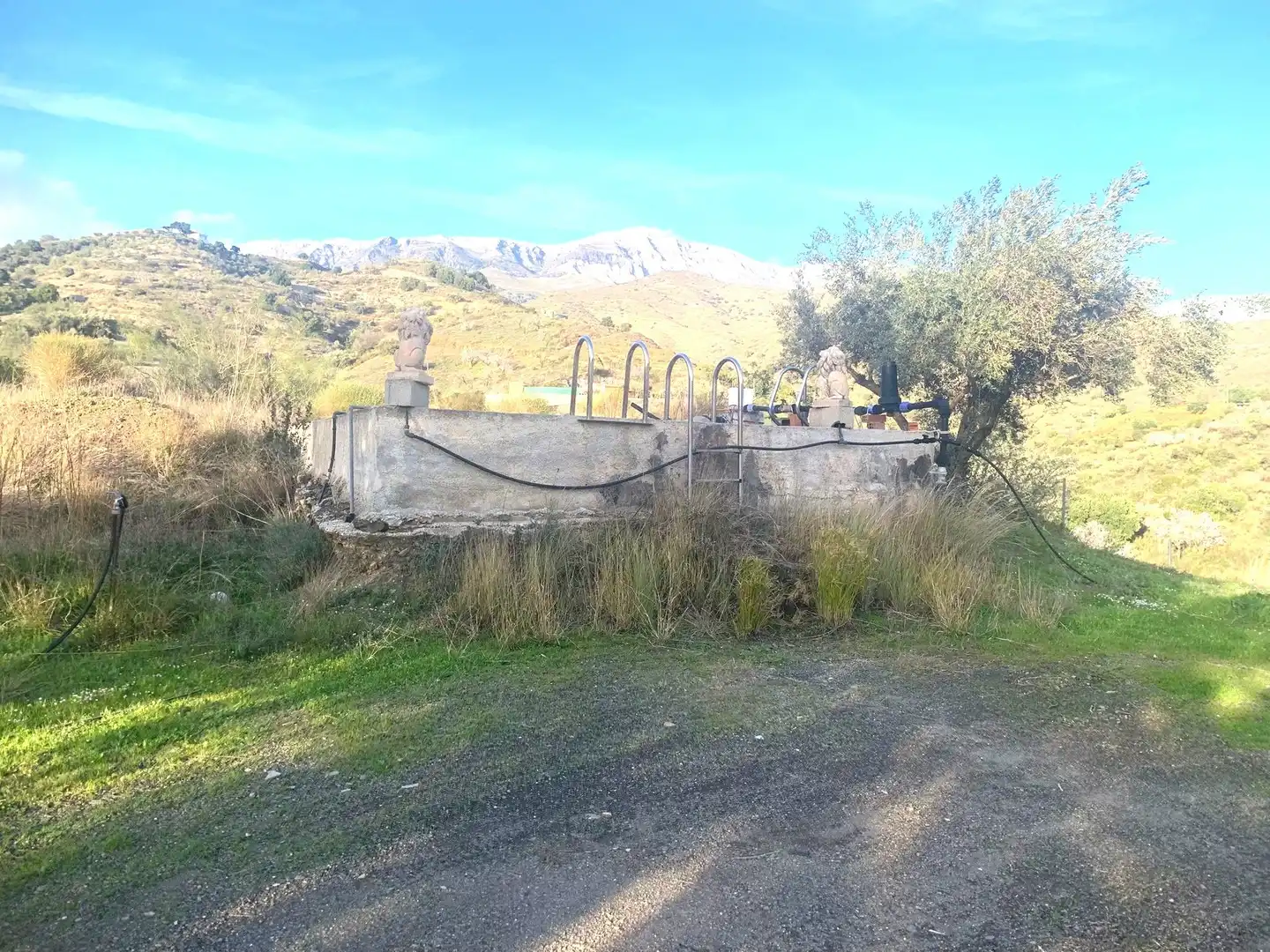 Finca rústica en venda en Sedella amb Jardí privat, Terrassa i Traster