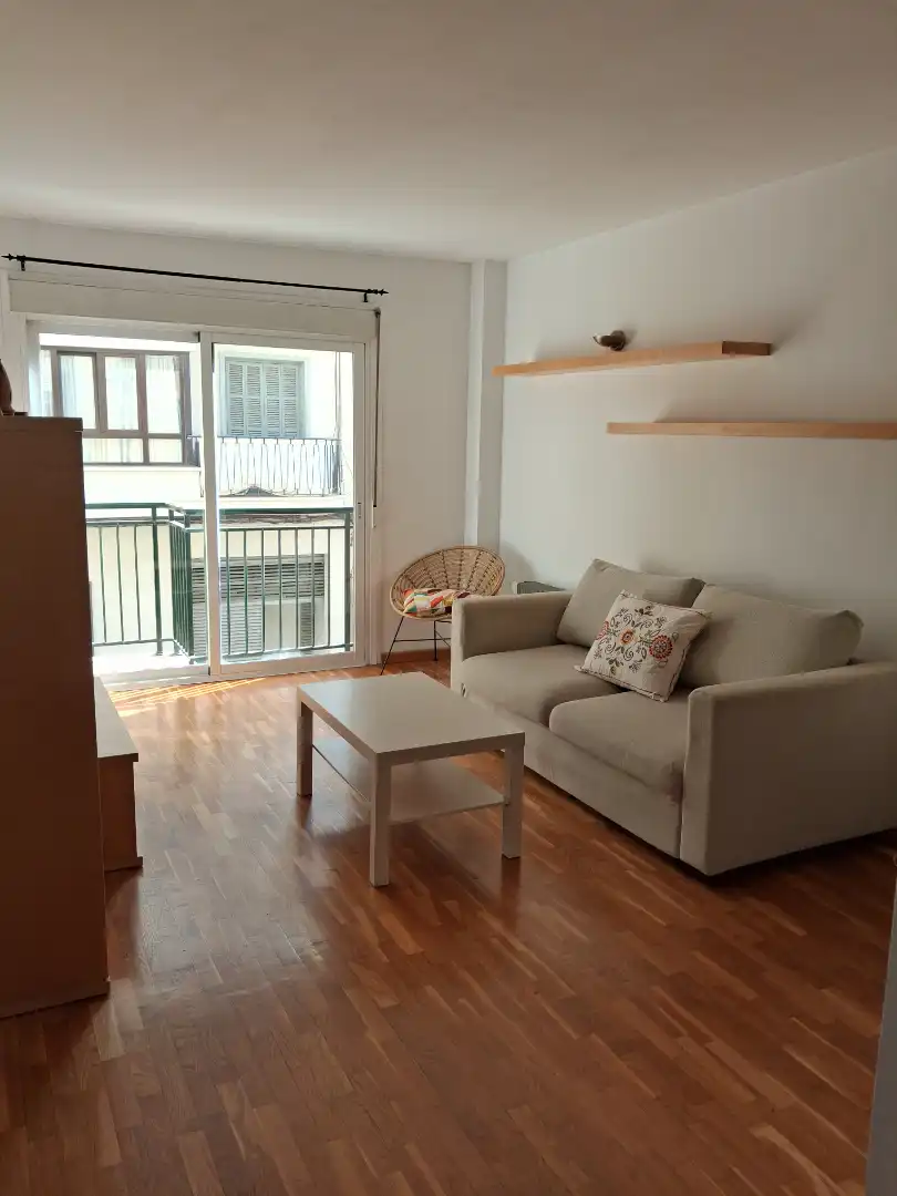 Living room of Apartments for rent in  Palma de Mallorca  with Air Conditioner, Parquet flooring and Furnished