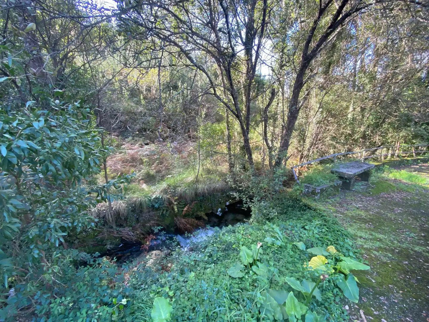 Casa o xalet en venda en Cee amb Terrassa