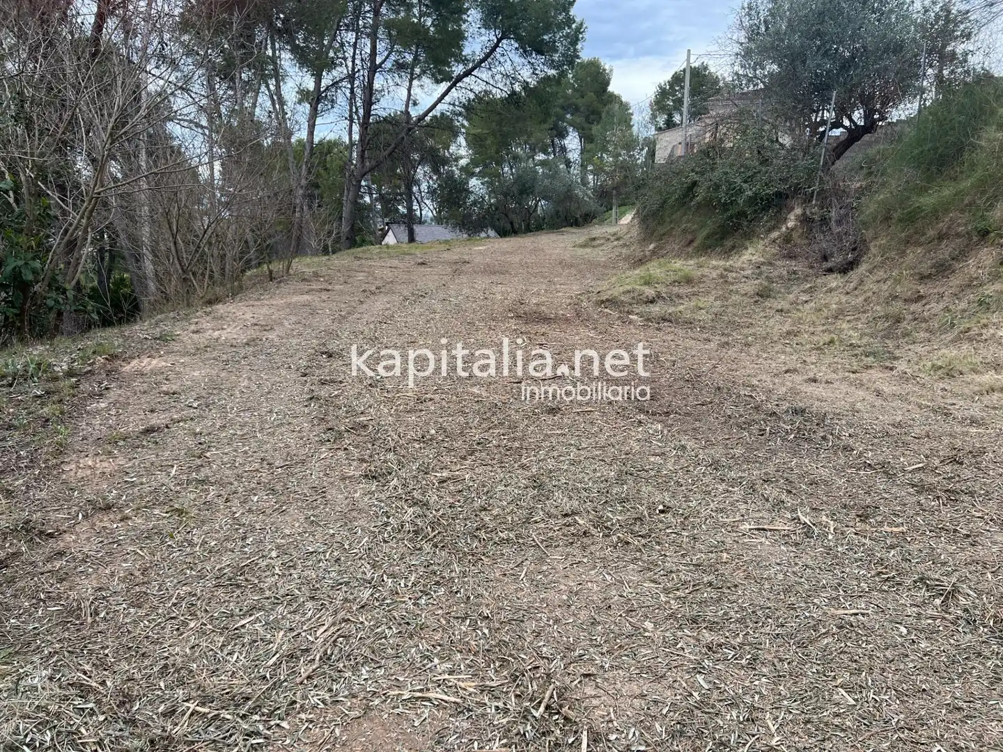 Terreni e lotti in vendita a Agullent, imagen 2