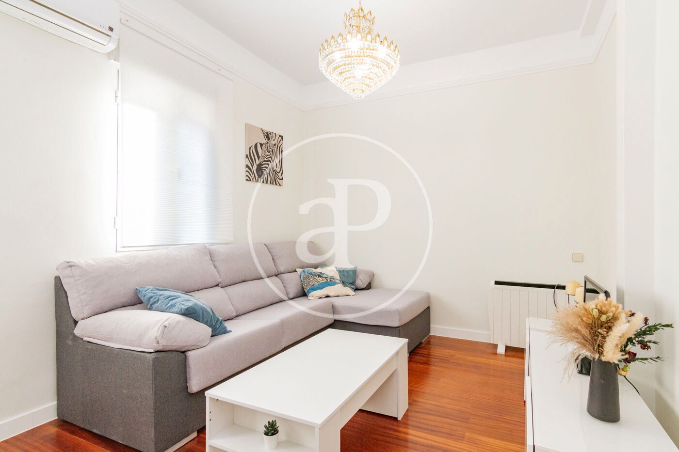Living room of Flat to rent in  Madrid Capital  with Air Conditioner, Heating and Furnished