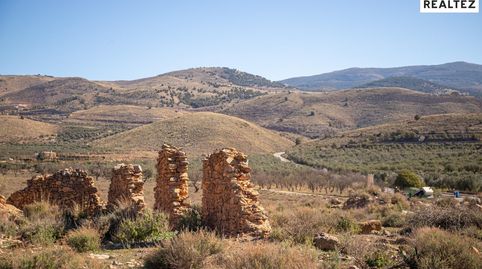 Terreno rústico de 20.783 m2 a pie de carretera en Alcolea, en plena Alpujarra Almeriense, immagine 2