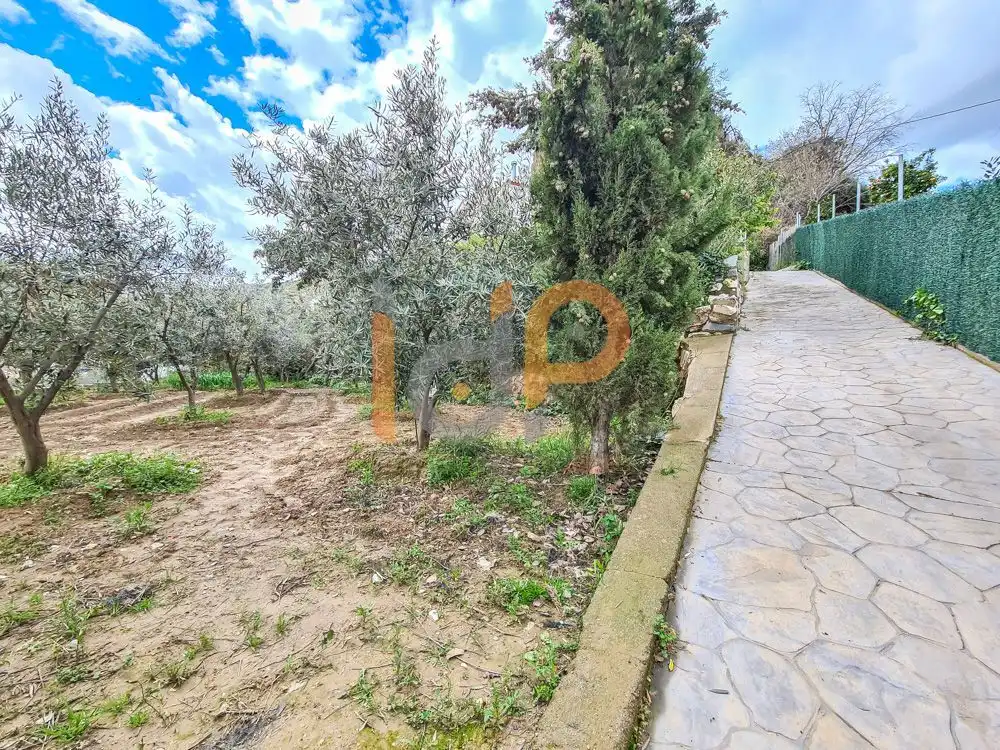 Maison à vendre à Macael, imagen 2