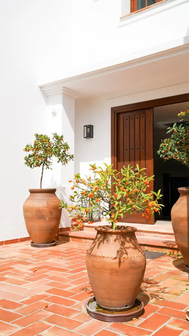 Casa o chalet de alquiler en El Madroñal