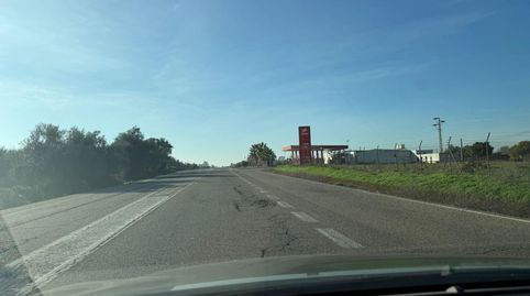 Foto 2 de Finca rústica en venda a Callejón de la Dehesa, Pilas, Sevilla