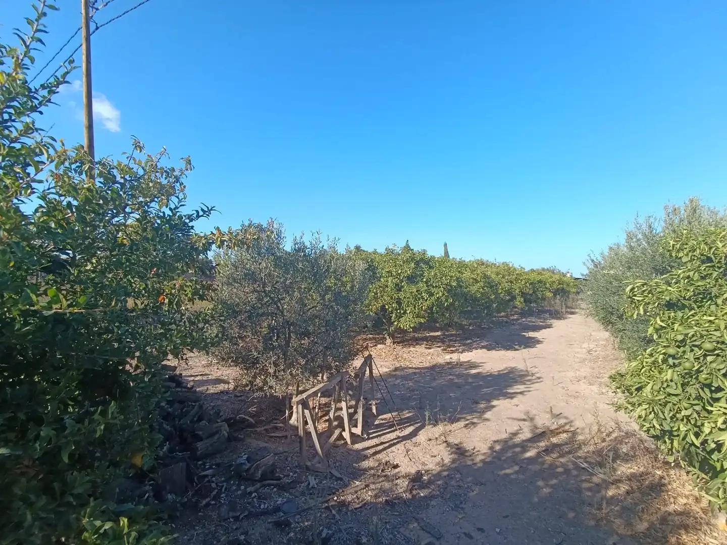Finca rústica en venda en San Javier amb Aire condicionat i Moblat