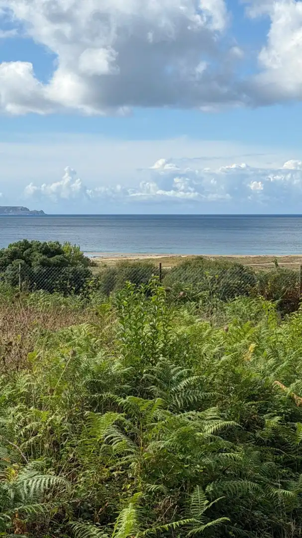Rural land for sale in La Iglesia, imagen 36