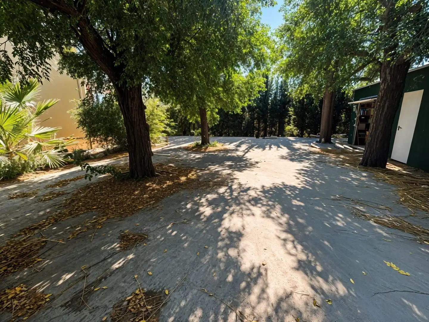 Vista exterior de Finca rústica en venda en Carcaixent amb Aire condicionat, Calefacció i Jardí privat