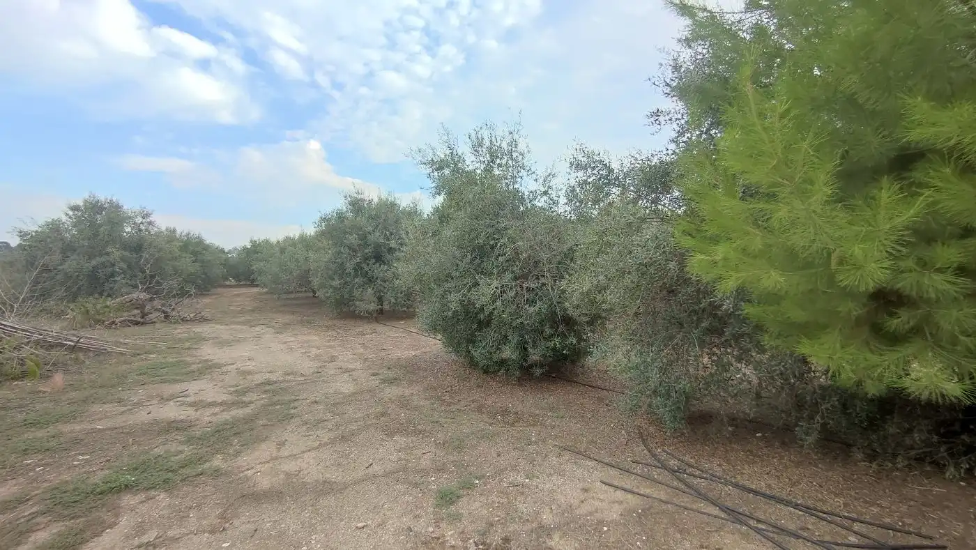 Finca rústica en venda en Valls amb Calefacció, Jardí privat i Terrassa