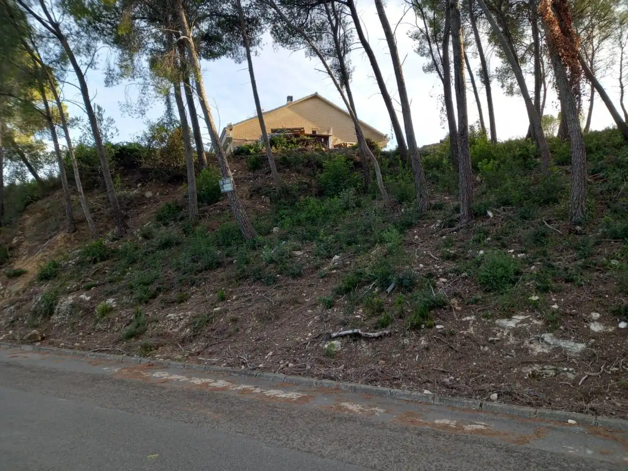 Terrain rustique à vendre à Calle joan miró 61, imagen 5