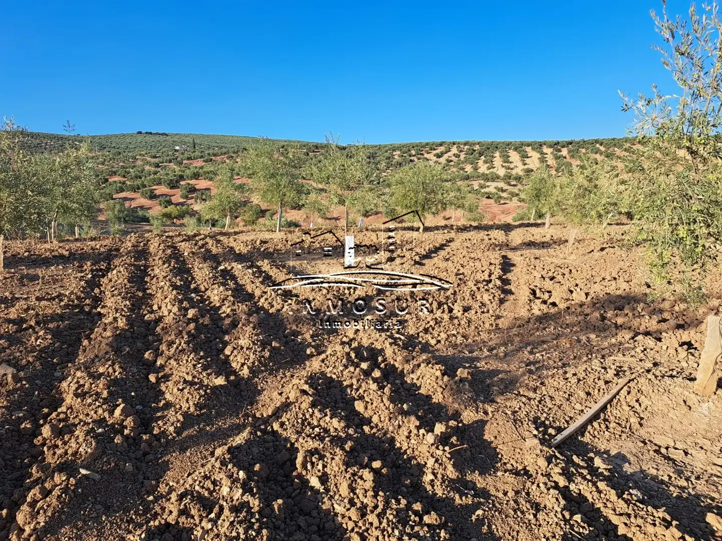 Terrain rustique à vendre à Las Vegas - Campoaras, imagen 9