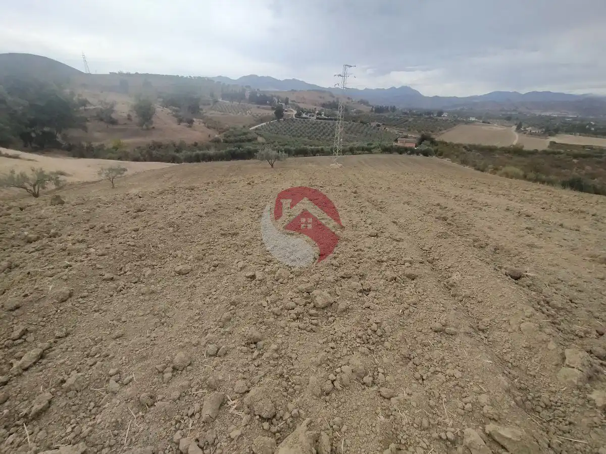 Terreno rústico en venta en Alquería - Torrealquería, imagen 3