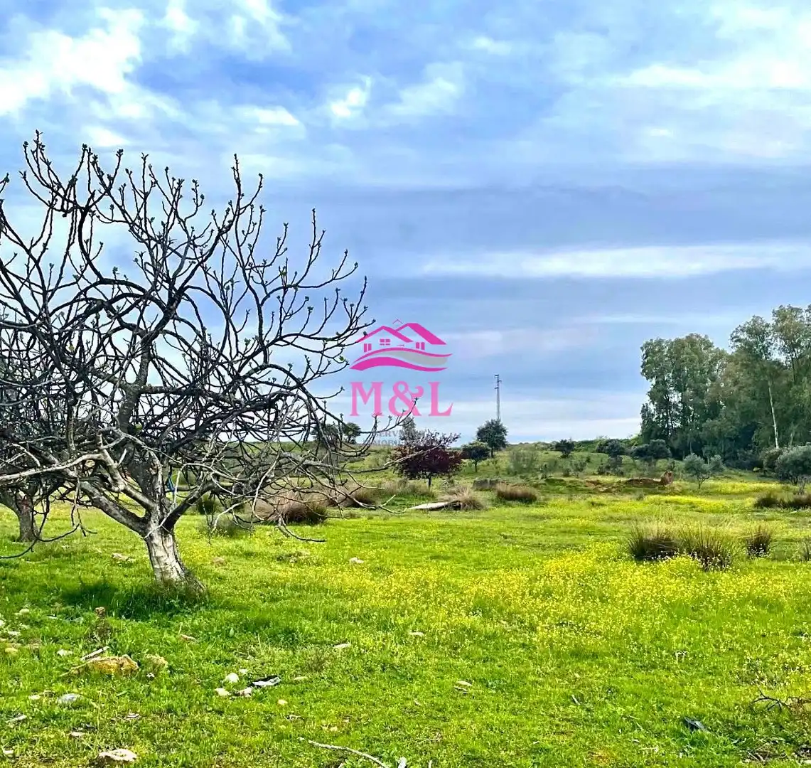 Terreni e lotti in vendita a Oeste, imagen 9