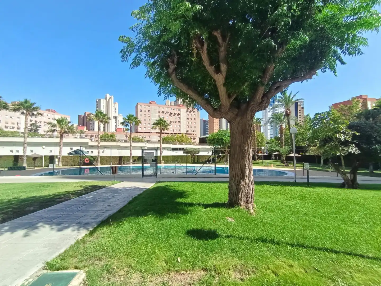 Penthouse mit Pool zum Verkauf in Juzgados - Plaza de Toros, imagen 2