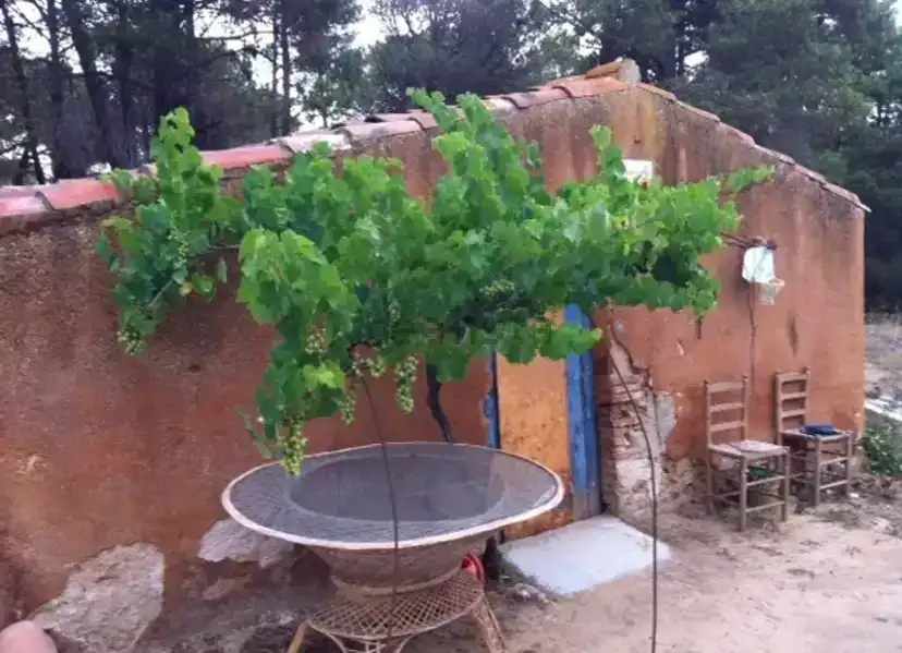 Jardín de Finca rústica en venta en Tordera