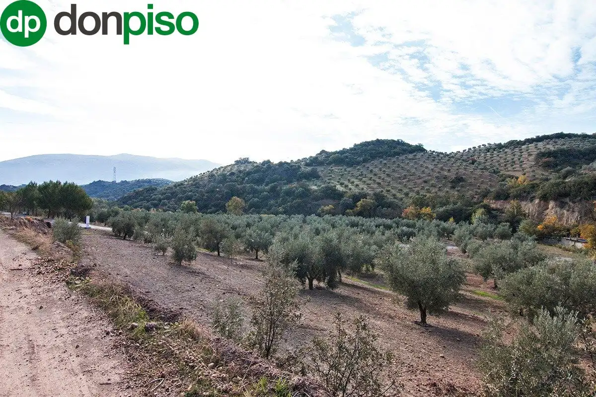 Casa rústica en venda a CORTIJO LA BARRAGANA, imagen 20