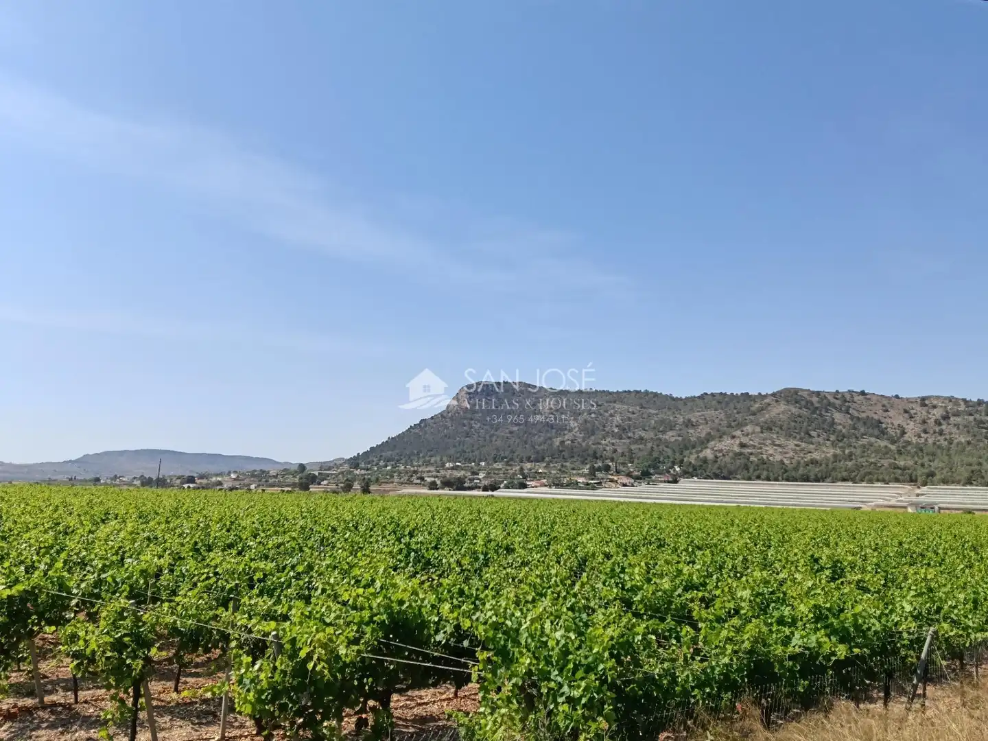 Rustikales Grundstück zum Verkauf in Pedanías Oeste, imagen 37