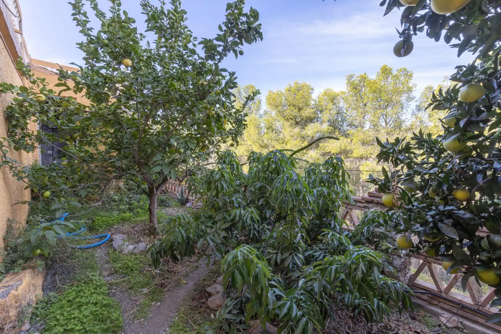 Casa o chalet en venta en Madrid con Aire acondicionado, Calefacción y Jardín privado