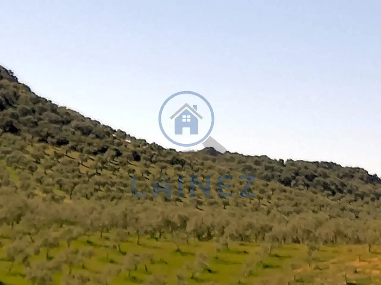 Terreny residencial en venda a Belmez, imagen 4