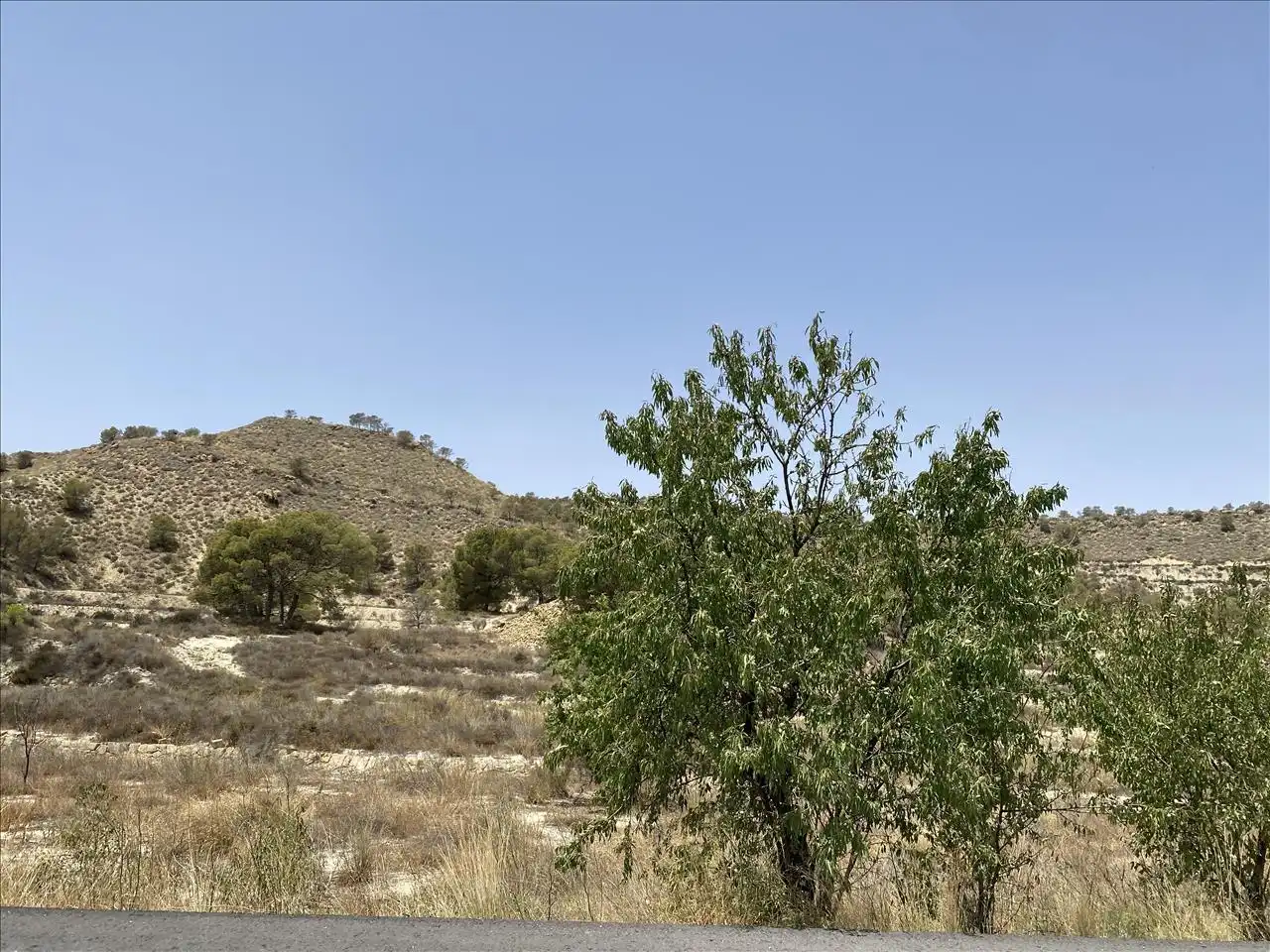 Terrenys i solars en venda a Paraje Partido Del Algarrobo Sector Zr-7, imagen 9
