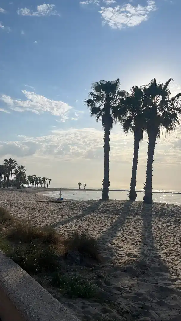 Außenansicht von Wohnungen zur Miete in Chilches / Xilxes, Castellón